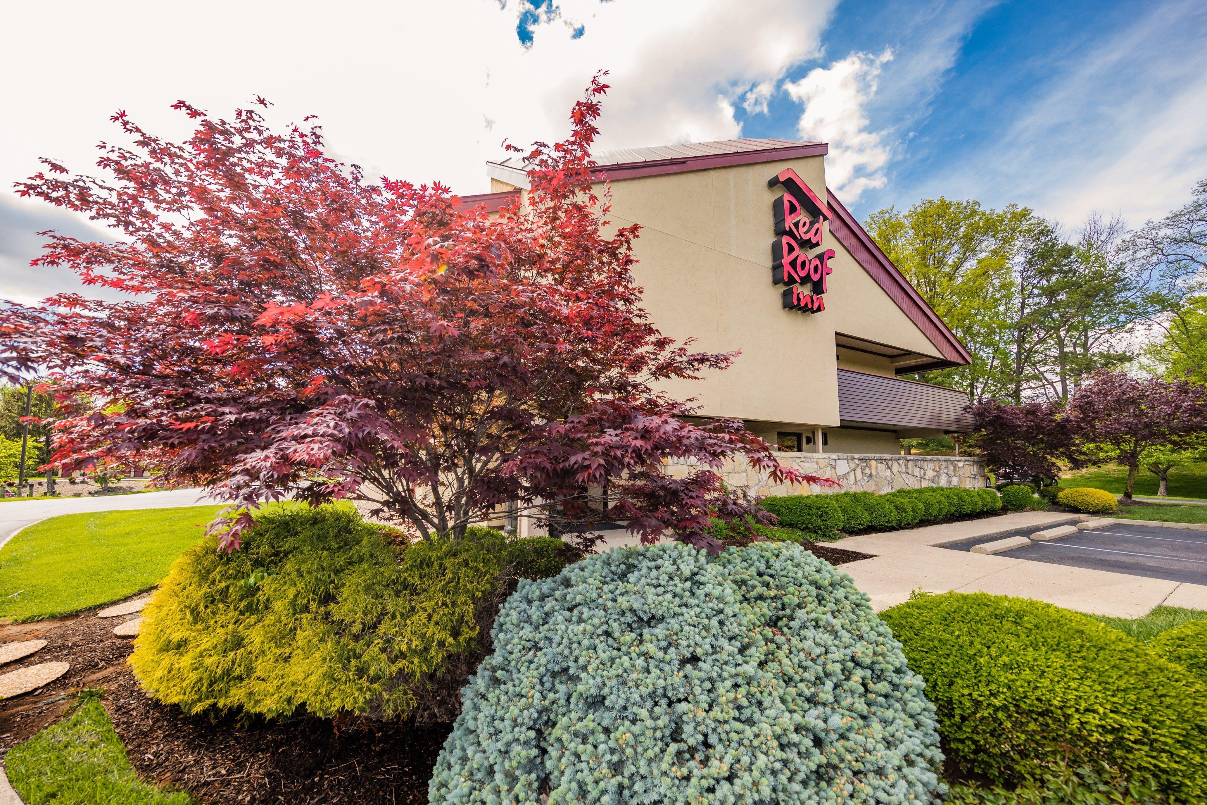 Red Roof Inn Cincinnati Northeast - Blue Ash Buitenkant foto